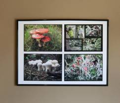 Appartement à Malmedy pour 7 personnes en Ardenne