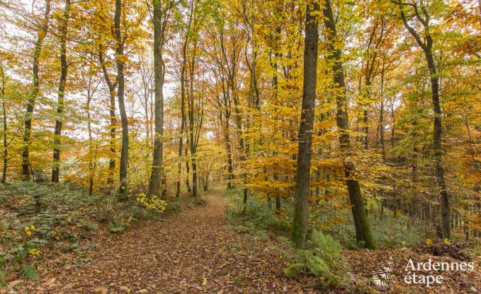 Maison de vacances  Malmedy pour 18/20 personnes en Ardenne