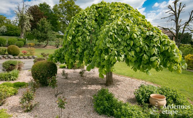 Villa de Luxe  Malmedy pour 12 personnes en Ardenne