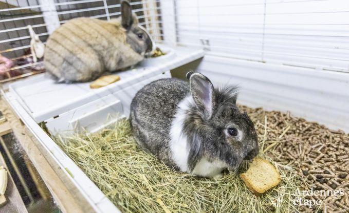 Maison de vacances � Malmedy pour 7 personnes en Ardenne