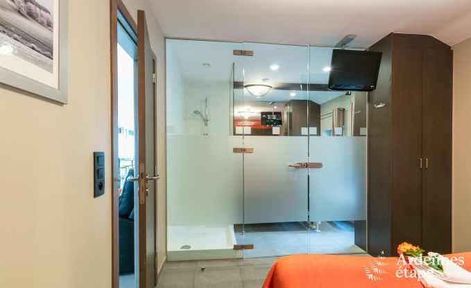 Villa de Luxe  Malmedy pour 8/9 personnes en Ardenne