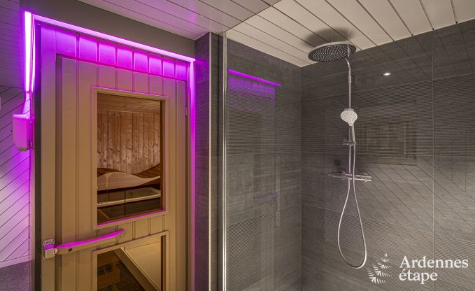 Villa de Luxe � Malmedy pour 12 personnes en Ardenne