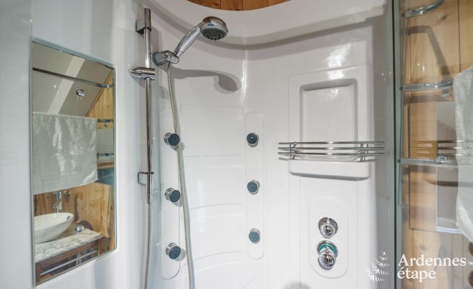 Villa de Luxe  Manhay pour 14 personnes en Ardenne