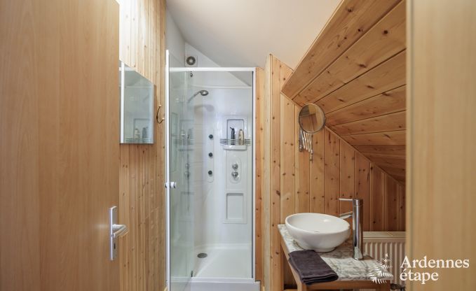 Villa de Luxe  Manhay pour 14 personnes en Ardenne