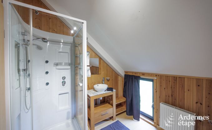 Villa de Luxe  Manhay pour 14 personnes en Ardenne