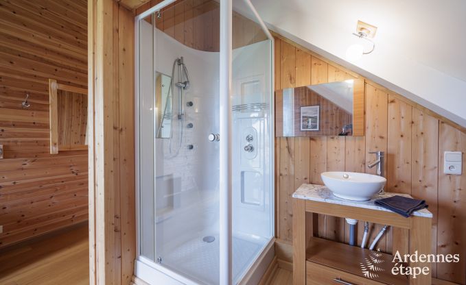 Villa de Luxe  Manhay pour 14 personnes en Ardenne