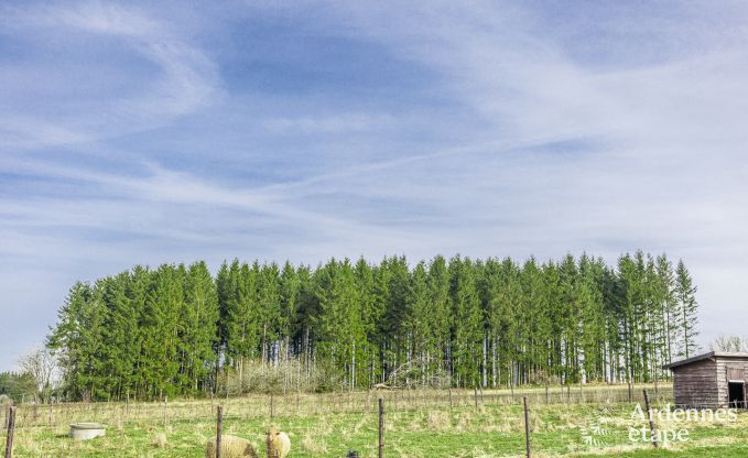 Maison de vacances  Manhay pour 2/3 personnes en Ardenne