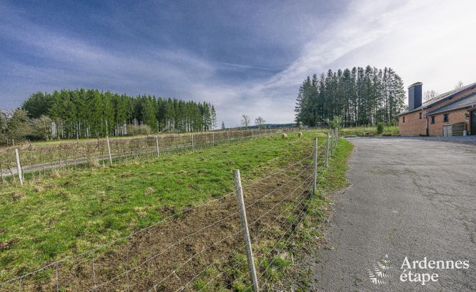 Maison de vacances  Manhay pour 2/3 personnes en Ardenne