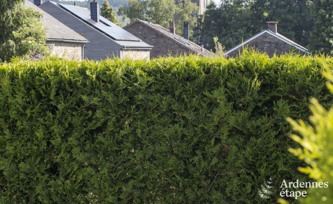 Maison de vacances avec sauna et jeux  Manhay pour 20 personnes en Ardenne