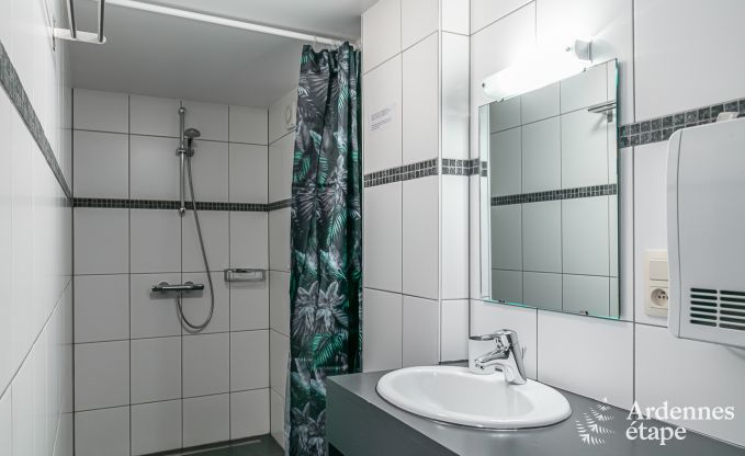 Maison de vacances avec sauna et jeux  Manhay pour 20 personnes en Ardenne