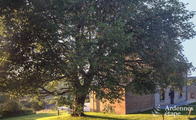 Maison de vacances  Marche-en-Famenne pour 8 personnes en Ardenne