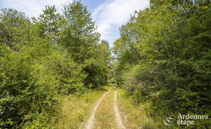 Chalet � Marche-en-Famenne pour 4 personnes en Ardenne