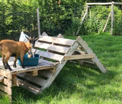 Maison de vacances à Marchin pour 6 personnes en Ardenne