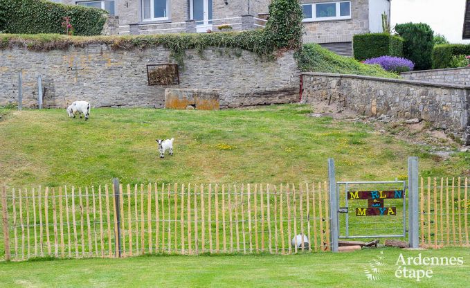 Maison de vacances  Maredsous pour 6 personnes en Ardenne