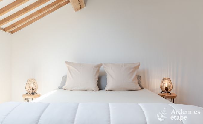 Maison de vacances  Maredsous pour 13 personnes en Ardenne