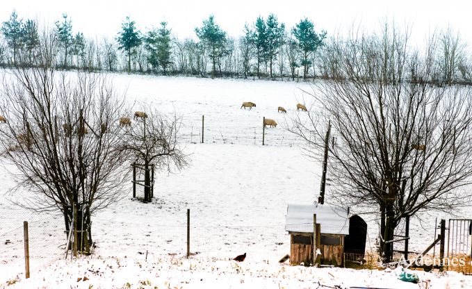 Maison de vacances  Maredsous pour 9 personnes en Ardenne