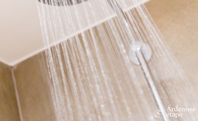 Maison de vacances � Maredsous pour 10 personnes en Ardenne