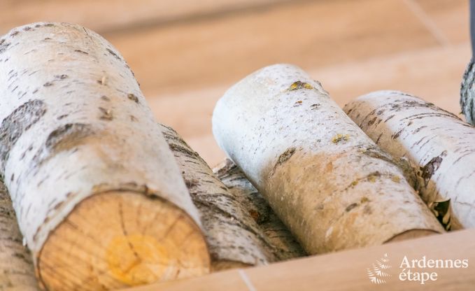 Maison de vacances � Maredsous pour 10 personnes en Ardenne