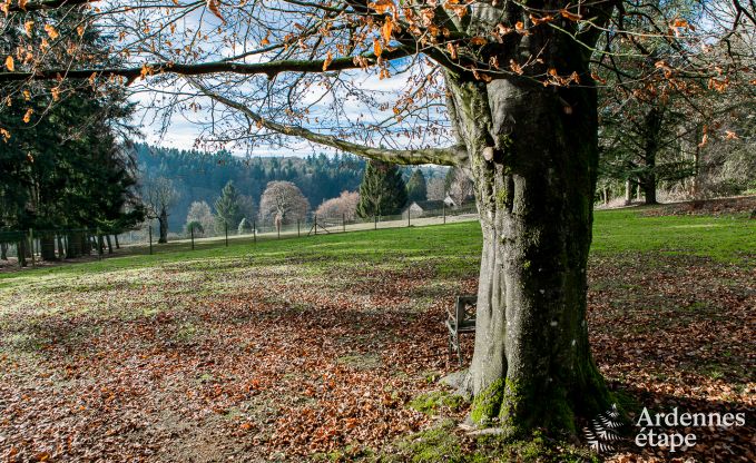 Maison de vacances  Momignies pour 8 personnes en Ardenne