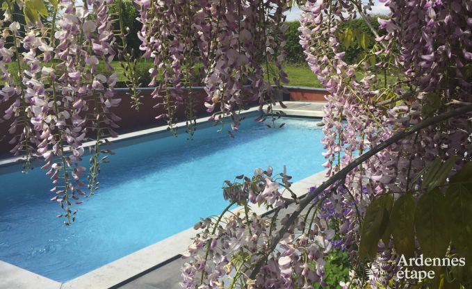 Maison de vacances pour 9 personnes avec piscine près de Namur