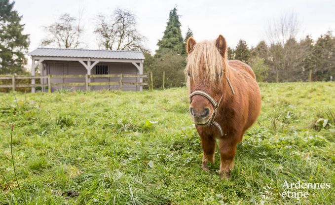 Vacances  la ferme  Nassogne pour 4 personnes en Ardenne