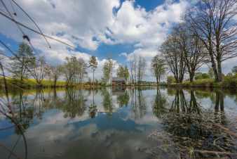Chalet contemporain avec étang à louer en Ardenne pour 4