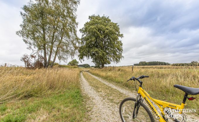 Maison de vacances  Neufchateau pour 9 personnes en Ardenne