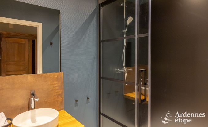 Gite de charme � Neufchateau pour 9 personnes en Ardenne