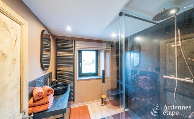 Villa de vacances  Ohey : sjour de luxe pour 10 personnes avec sauna, jacuzzi et jardin priv