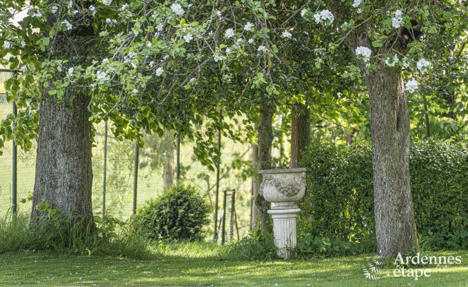 Maison de vacances avec tennis � Onhaye pour 2/3 personnes en Ardenne