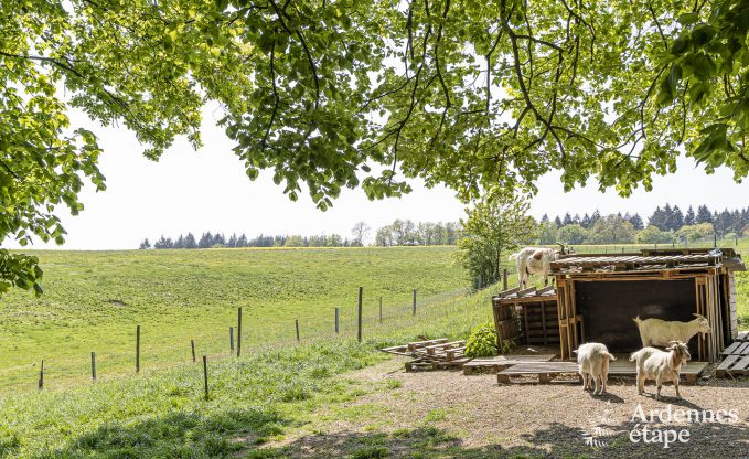 Maison de vacances avec tennis � Onhaye pour 2/3 personnes en Ardenne