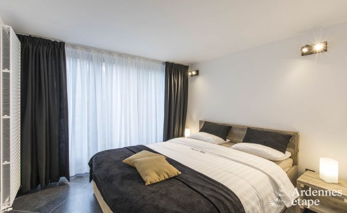 Maison de vacances  Onhaye avec piscine, jacuzzi, sauna et salles de jeux pour 14 personnes prs de Dinant