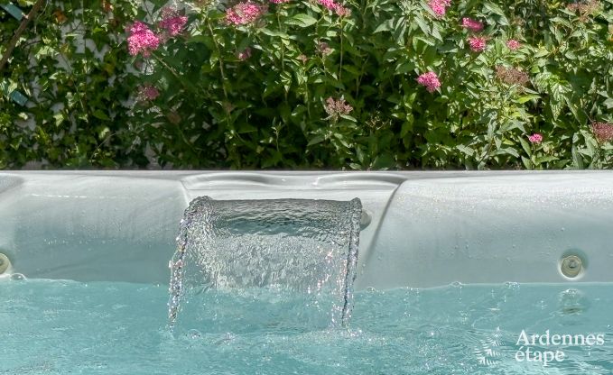 Maison de vacances  Onhaye avec piscine, jacuzzi, sauna et salles de jeux pour 14 personnes prs de Dinant