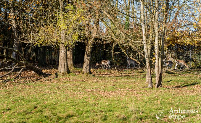 Chteau de luxe pour 30 personnes  Ouffet avec 14 chambres, 12 salles de bains, piscine intrieure, sauna et jardin priv