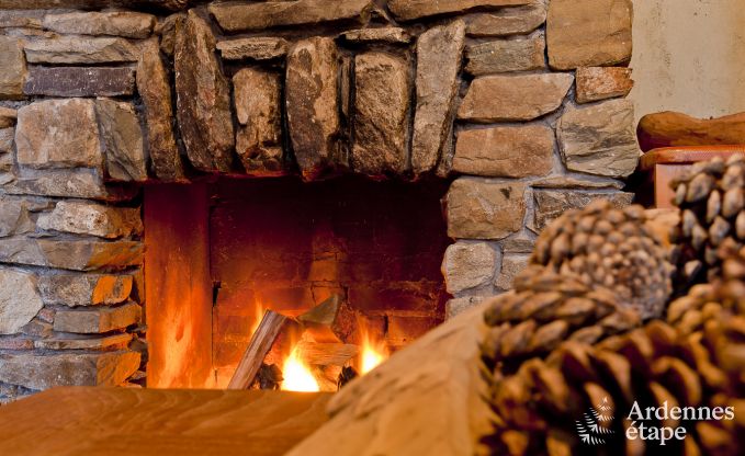 Chalet spacieux � Ovifat, Ardenne, 16 personnes, 8 chambres, 3 salles de bain, sauna, billard, jardin avec terrasse priv�e