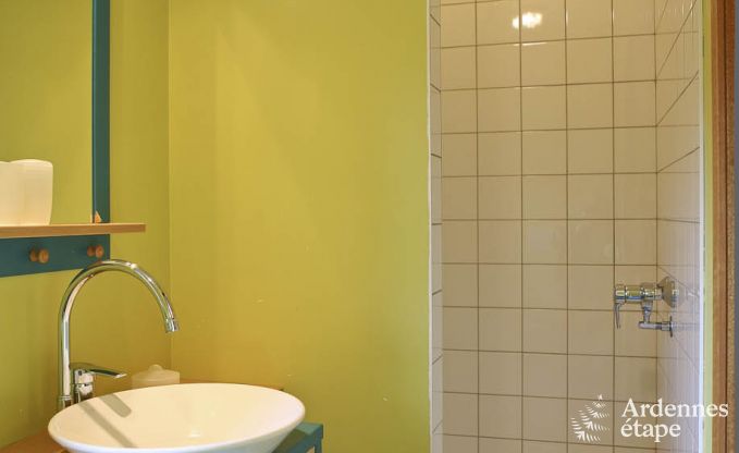 Villa de Luxe  Ovifat pour 18 personnes en Ardenne