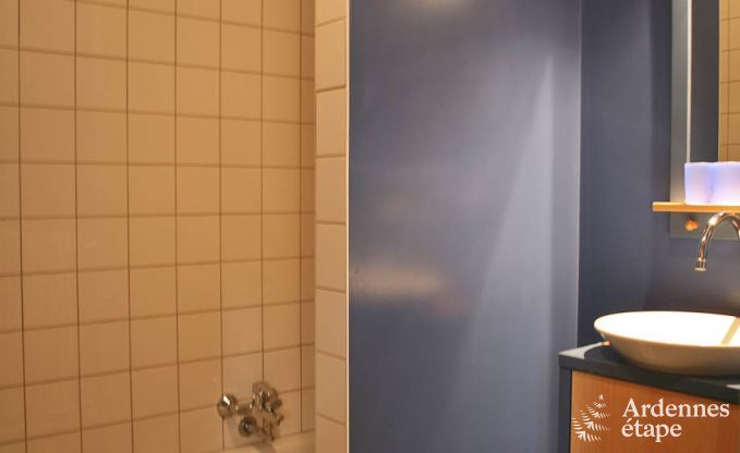 Villa de Luxe  Ovifat pour 18 personnes en Ardenne