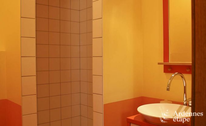 Villa de Luxe  Ovifat pour 18 personnes en Ardenne