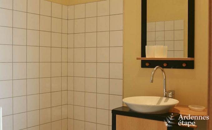 Villa de Luxe  Ovifat pour 18 personnes en Ardenne