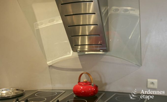 Villa de Luxe  Ovifat pour 18 personnes en Ardenne