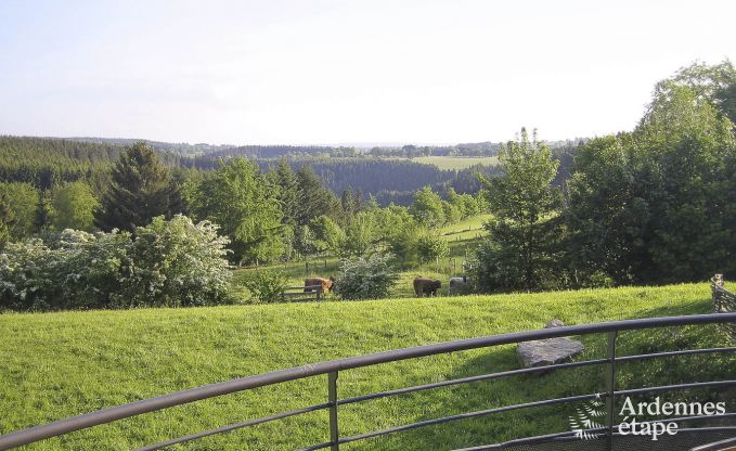 Villa de Luxe  Ovifat pour 18 personnes en Ardenne