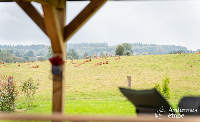 Maison de vacances  Paliseul pour 8 personnes en Ardenne