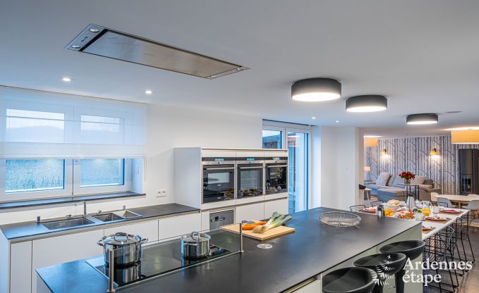 Villa de Luxe  Paliseul pour 18 personnes en Ardenne