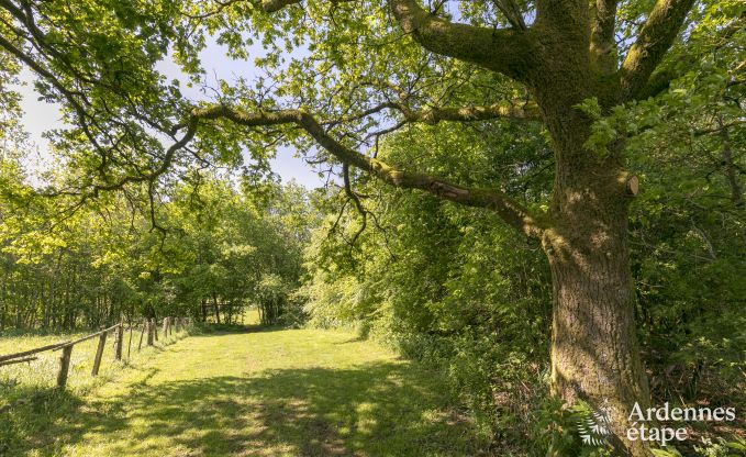Maison de vacances  Paliseul pour 6/8 personnes en Ardenne