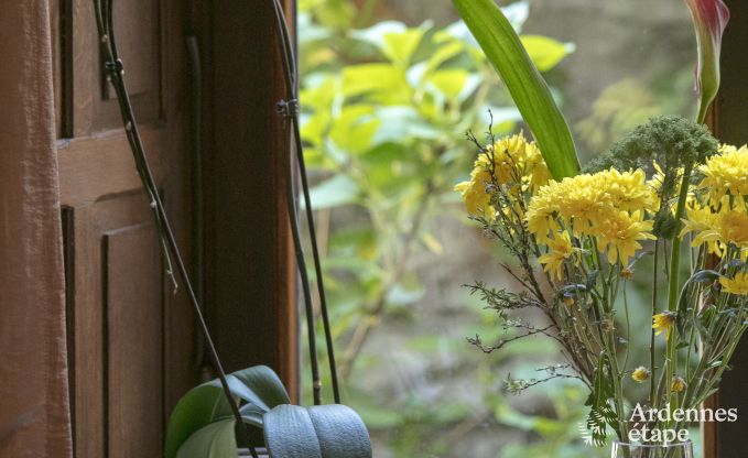 Maison de vacances  Paliseul pour 6/8 personnes en Ardenne