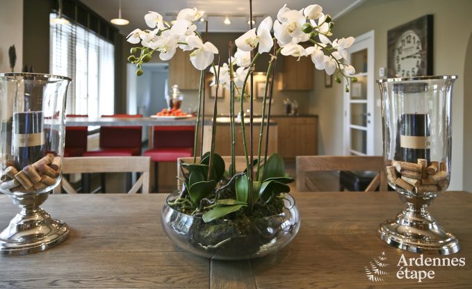 Maison de vacances  Paliseul pour 8 personnes en Ardenne