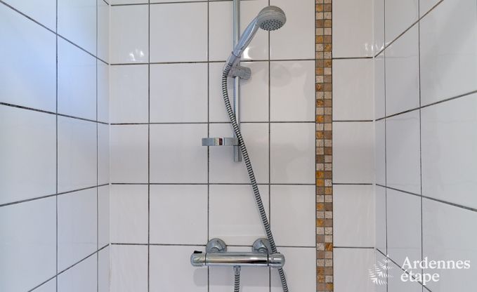 Maison de vacances  Paliseul pour 20 personnes en Ardenne