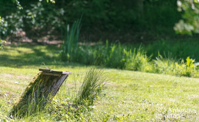 Maison de vacances  Paliseul pour 20 personnes en Ardenne