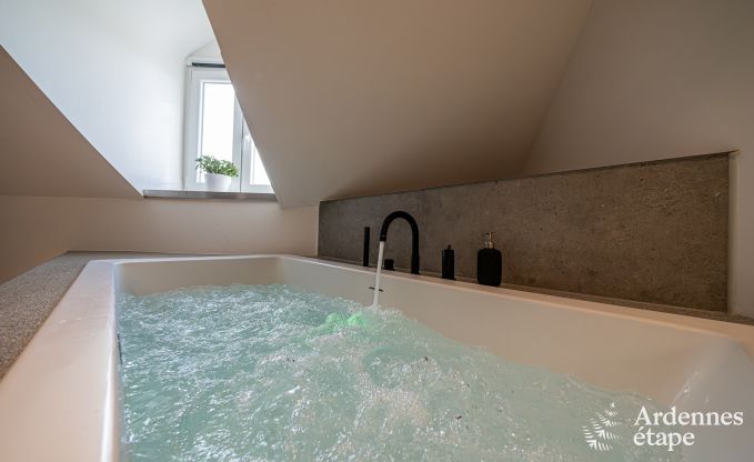 Villa de luxe avec sauna et baignoire balno  Petit-Rechain en Ardenne