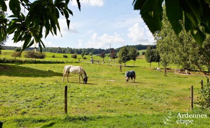 Vacances à la ferme à Plombières pour 4 personnes en Ardenne